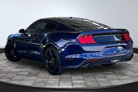 More photos of 2019 Ford Mustang at M&J Auto Sales and Service, FL