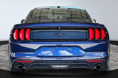 More photos of 2019 Ford Mustang at M&J Auto Sales and Service, FL