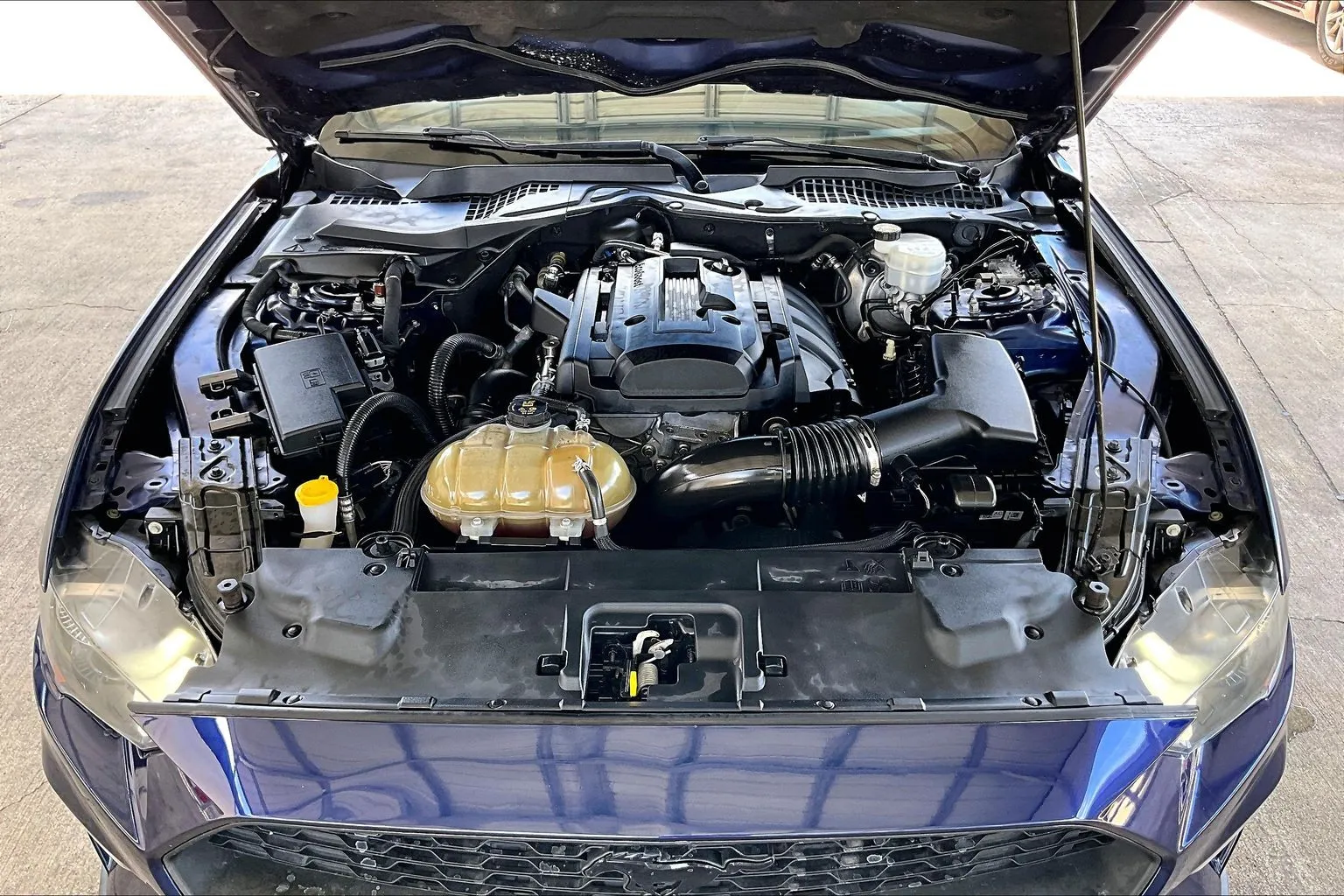 Ford Mustang photo 26