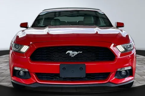 Photos of 2016 Ford Mustang EcoBoost Premium for sale in Jacksonville, FL at M&J Auto Sales and Service
