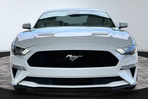 Photos of 2022 Ford Mustang for sale in Jacksonville, FL at M&J Auto Sales and Service
