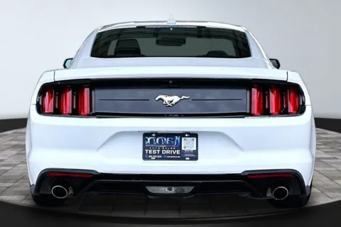More photos of 2022 Ford Mustang at M&J Auto Sales and Service, FL