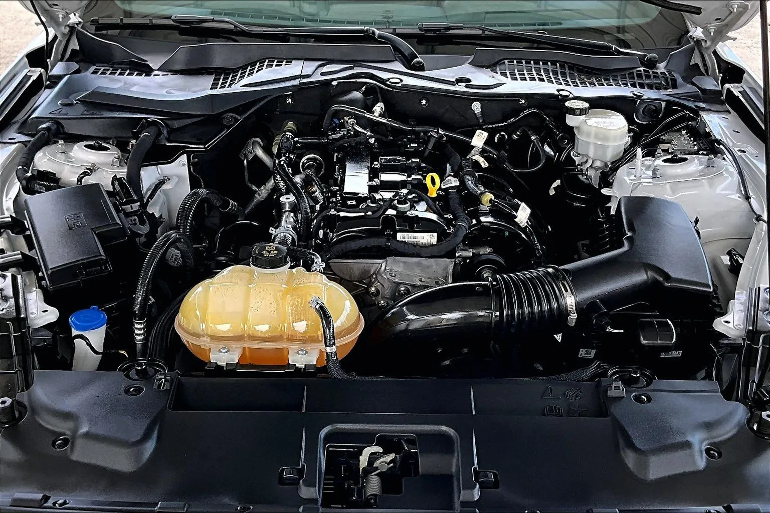 Ford Mustang photo 26