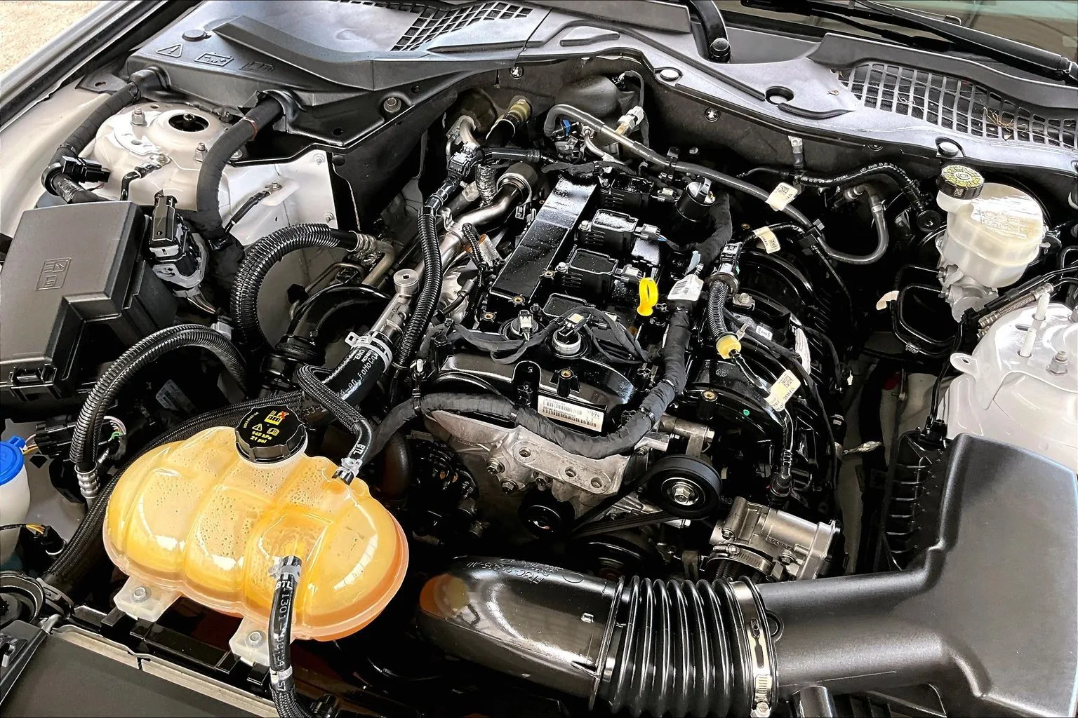 Ford Mustang photo 27