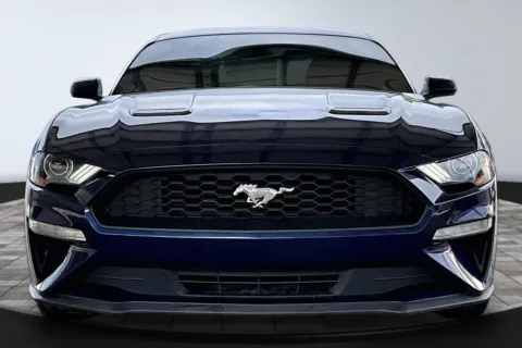 Photos of 2019 Ford Mustang EcoBoost for sale in Jacksonville, FL at M&J Auto Sales and Service