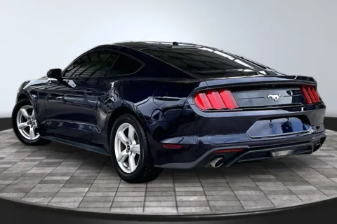 More photos of 2019 Ford Mustang EcoBoost at M&J Auto Sales and Service, FL