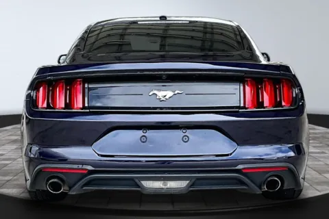 More photos of 2019 Ford Mustang EcoBoost at M&J Auto Sales and Service, FL