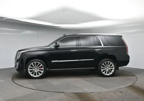 Photos of 2018 Cadillac Escalade Platinum Edition for sale in Fort Lee, NJ at AutoNova46
