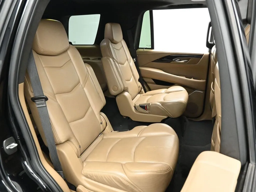 2018 Cadillac Escalade Platinum photo 23