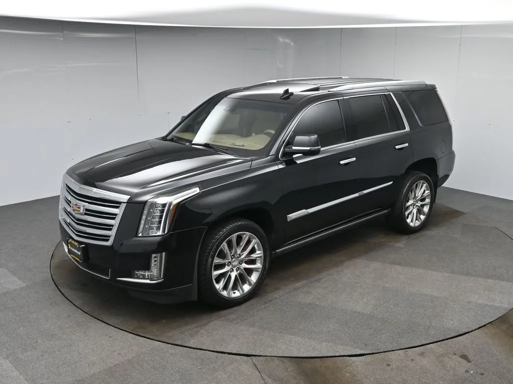 2018 Cadillac Escalade Platinum photo 14
