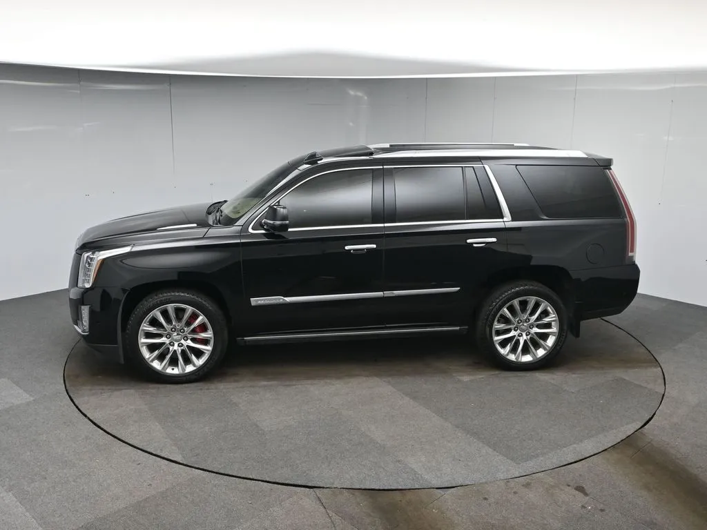 2018 Cadillac Escalade Platinum photo 32
