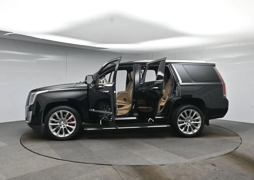 2018 Cadillac Escalade Platinum photo 17