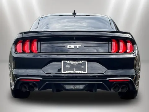 More photos of 2022 Ford Mustang GT at Maserati Alfa Romeo of Naperville, IL