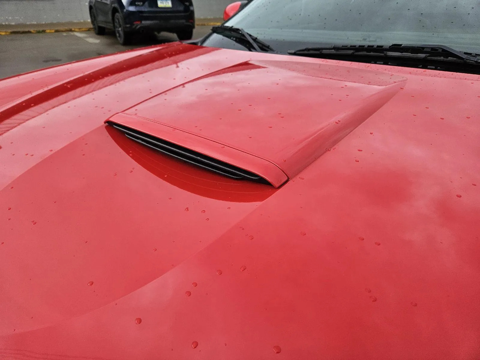 Ford Thunderbird photo 10