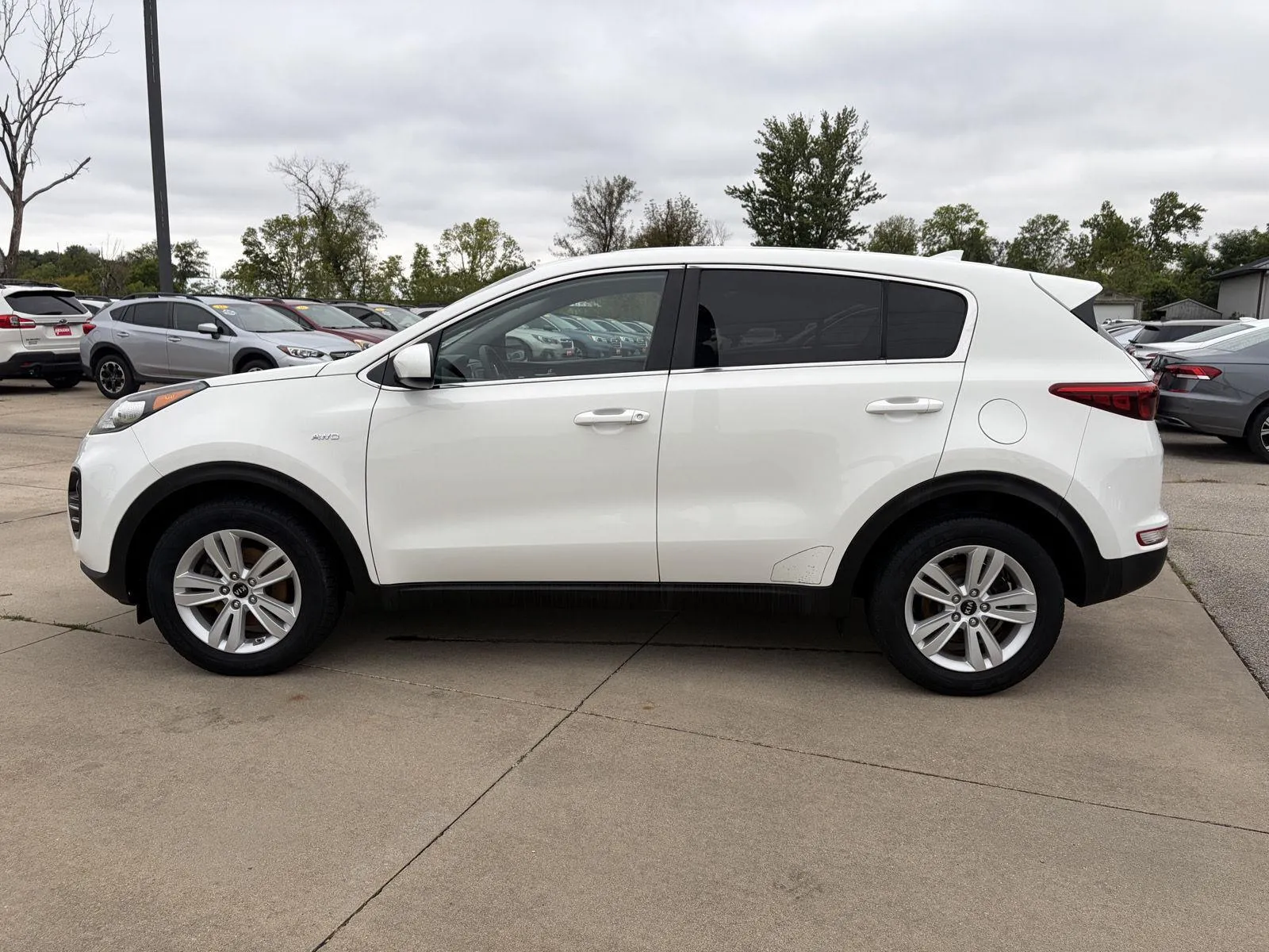 Kia Sportage photo 5