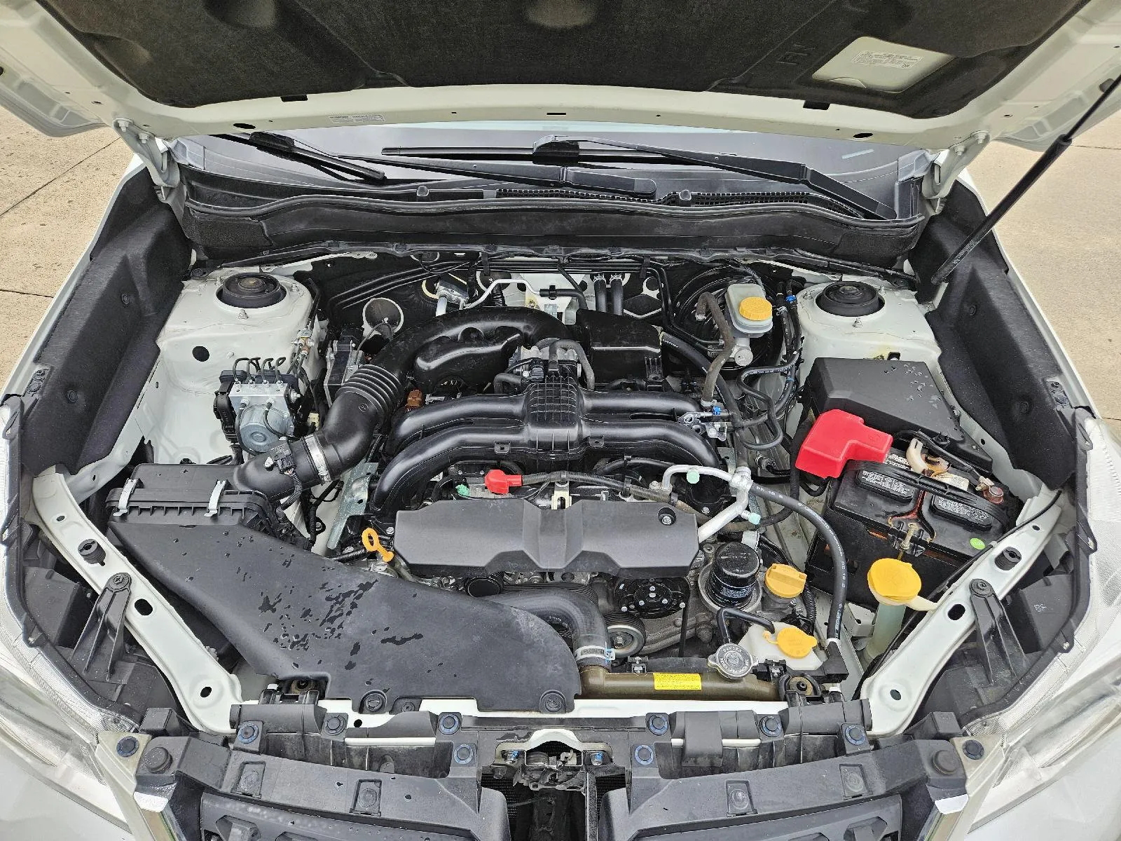 Subaru Forester photo 11
