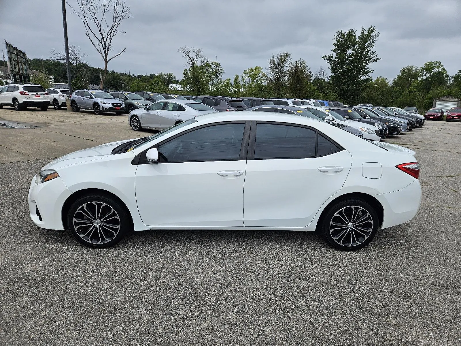 Toyota Corolla photo 4
