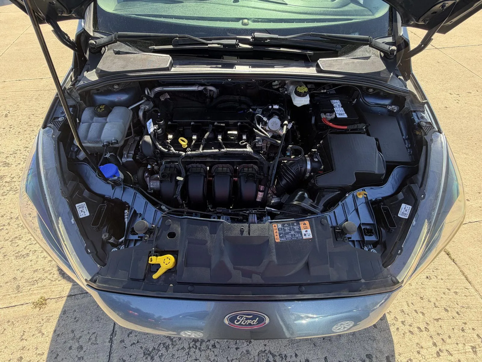 Ford Focus photo 31