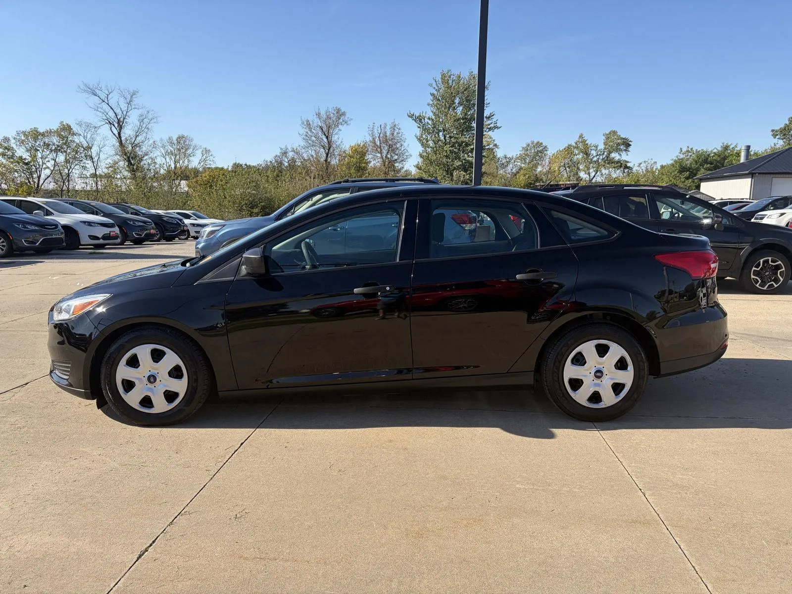 Ford Focus photo 5