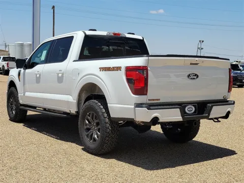 More photos of 2025 Ford F-150 Tremor at Brownfield Ford, TX