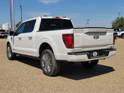 More photos of 2025 Ford F-150 Platinum at Brownfield Ford, TX