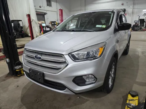 Silver 2019 Ford Escape SE for sale in Sodus, NY
