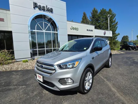Silver 2019 Ford Escape SE for sale in Sodus, NY