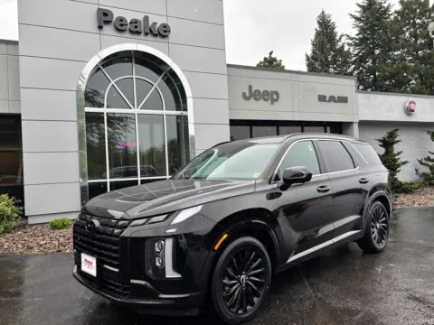 Black 2025 Hyundai Palisade Calligraphy Night Edition for sale in Sodus, NY