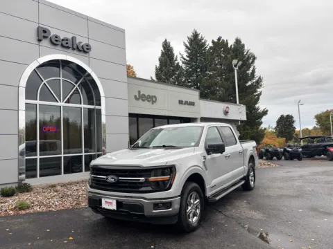 Gray 2024 Ford F-150 XLT for sale in Sodus, NY