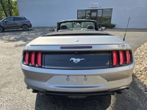More photos of 2023 Ford Mustang EcoBoost at Peake Chrysler Dodge Jeep Ram Fiat, NY