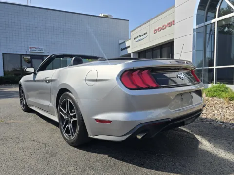 More photos of 2023 Ford Mustang EcoBoost at Peake Chrysler Dodge Jeep Ram Fiat, NY