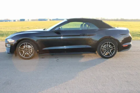 More photos of 2023 Ford Mustang EcoBoost Premium at Braden Cadillac GMC, OH