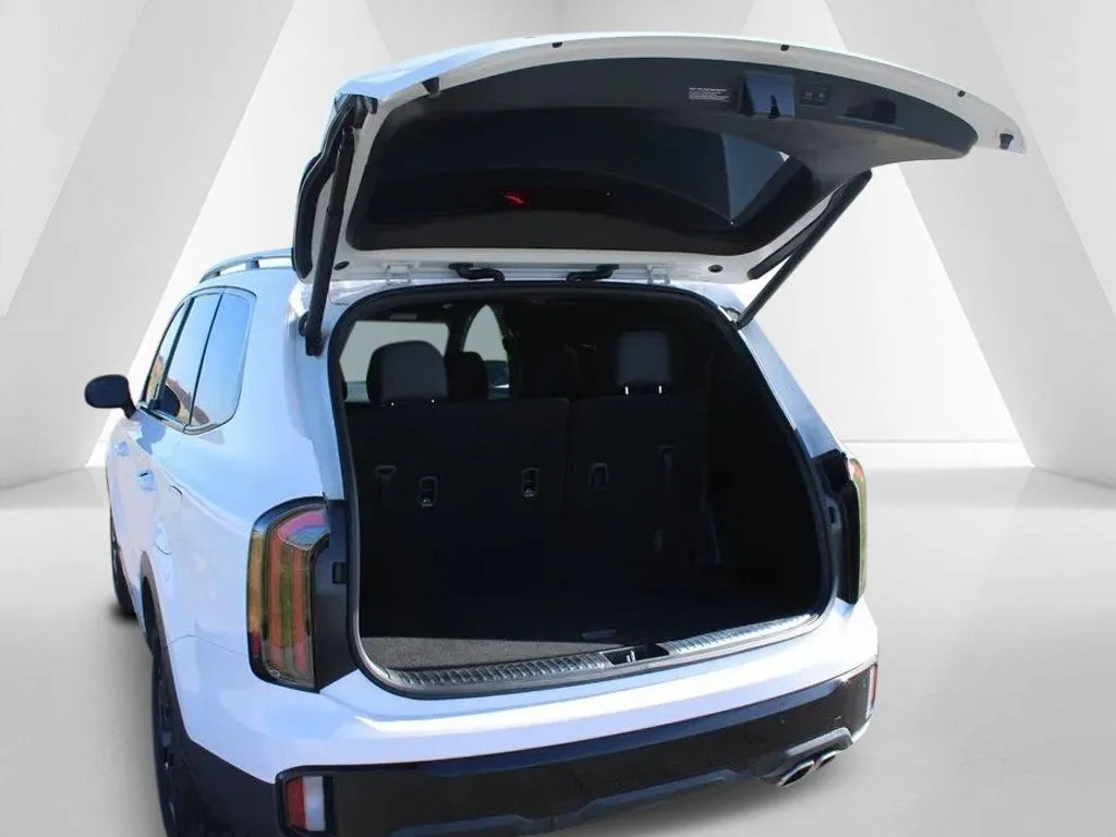 2025 Kia Telluride SX X-Line - Photo 41