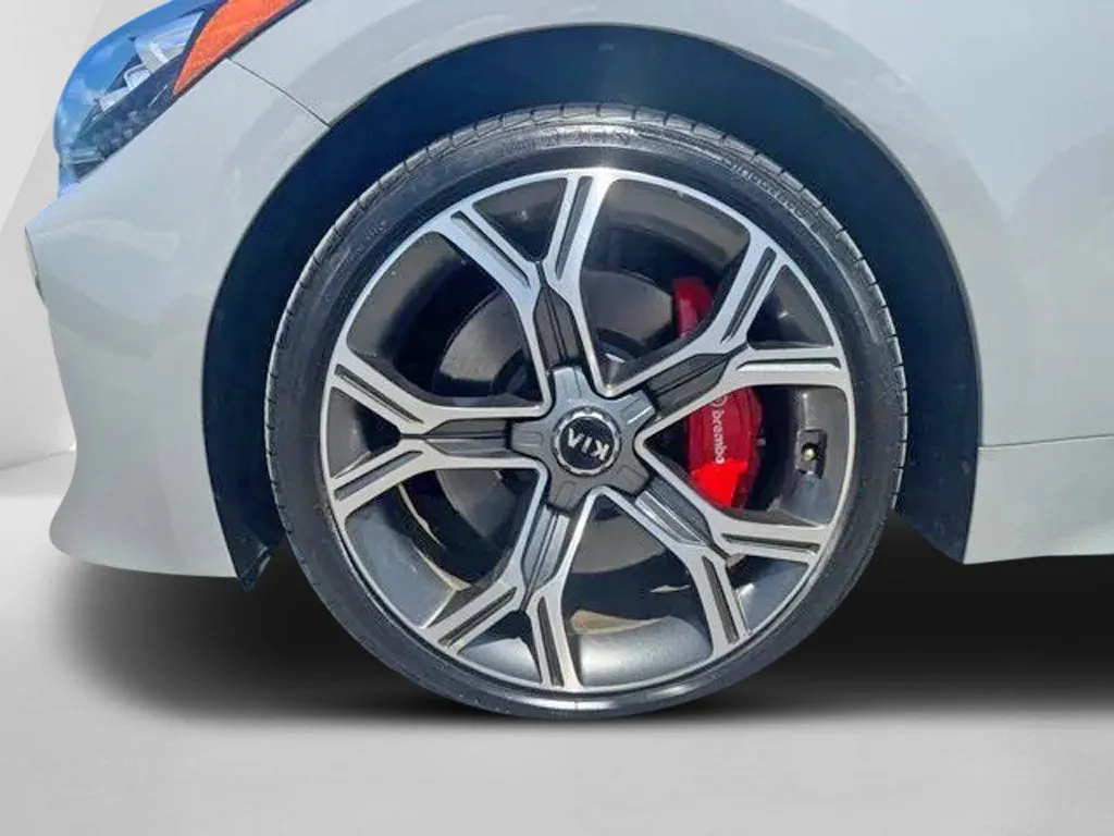 Kia Stinger photo 30