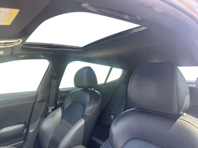 Kia Stinger photo 11