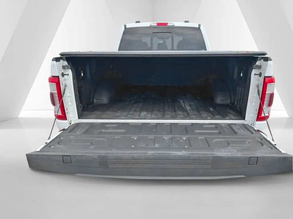 Ford F-150 photo 31