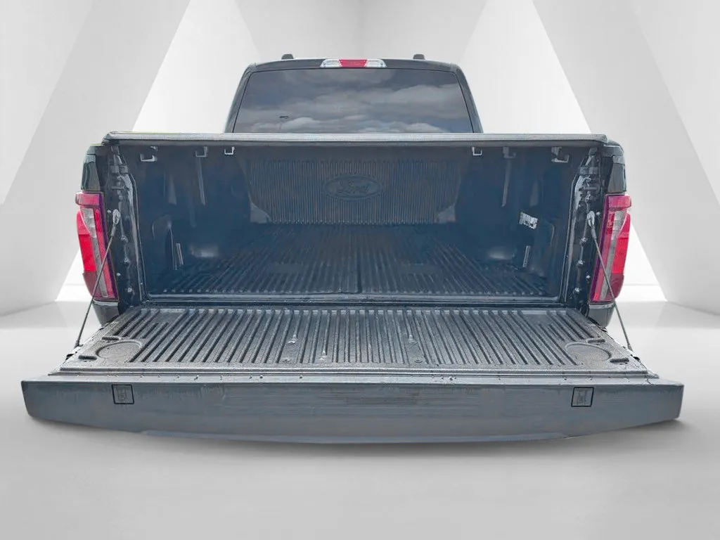 Ford F-150 photo 29