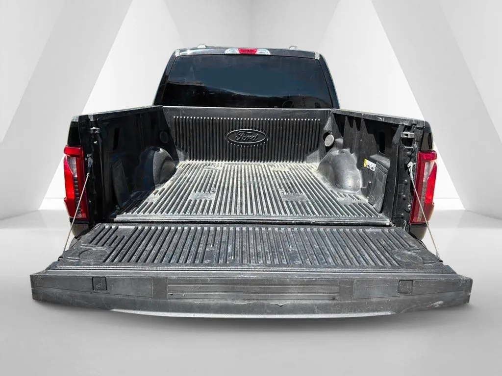 Ford F-150 photo 32
