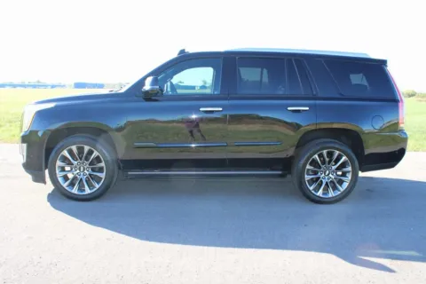 More photos of 2020 Cadillac Escalade Platinum Edition at Braden Cadillac GMC, OH