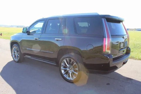 More photos of 2020 Cadillac Escalade Platinum Edition at Braden Cadillac GMC, OH