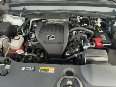 More photos of 2024 Lexus TX 350 at AUTOLAND, FL