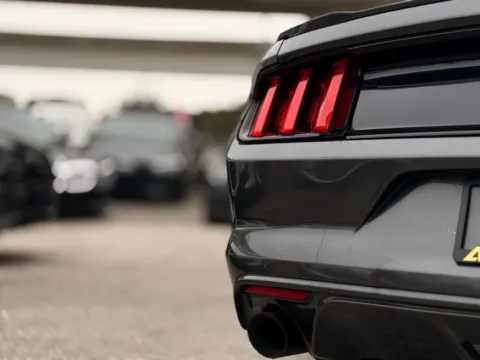 More photos of 2017 Ford Mustang GT at AUTOLAND, FL