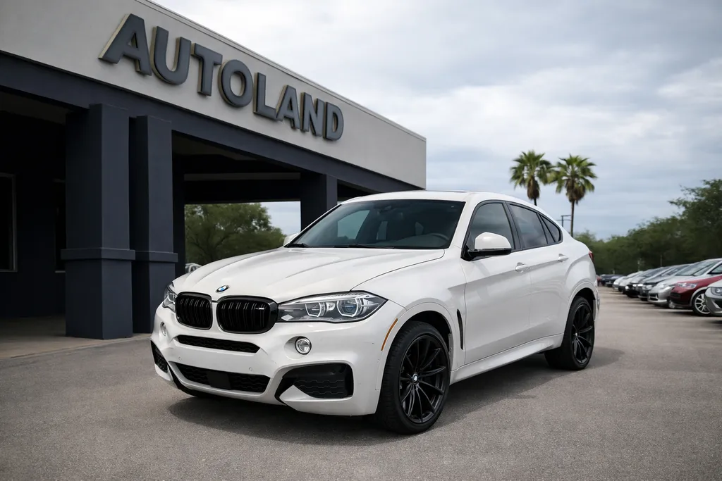 2018 BMW X6 xDrive50i's photo