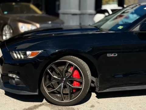 Another view of 2017 Ford Mustang GT for sale in Jacksonville, FL at AUTOLAND