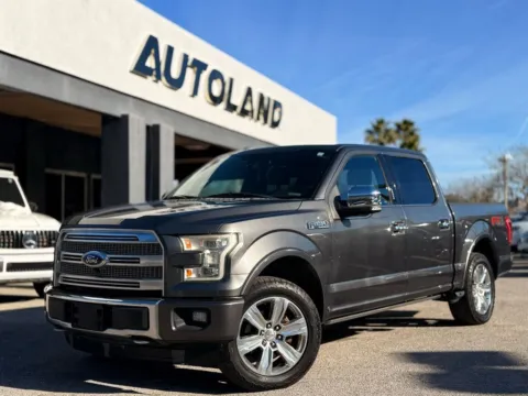Gray 2015 Ford F-150 Platinum for sale in Jacksonville, FL