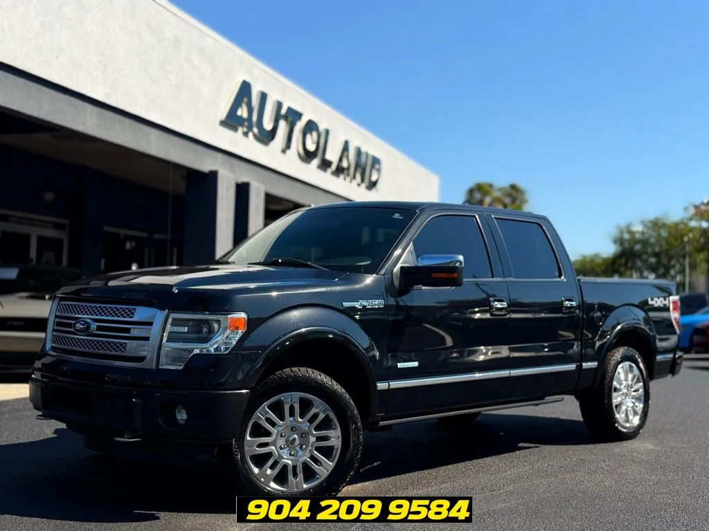 Black 2014 Ford F-150 Platinum for sale in Jacksonville, FL