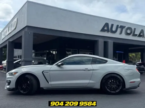 More photos of 2017 Ford Mustang Shelby GT350 at AUTOLAND, FL
