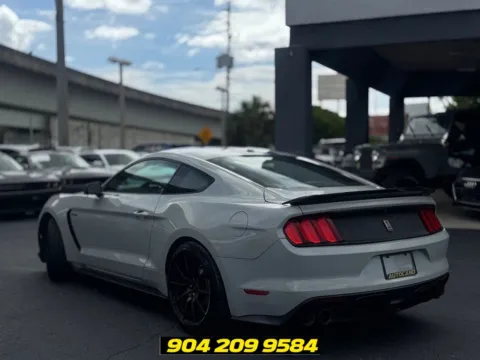 More photos of 2017 Ford Mustang Shelby GT350 at AUTOLAND, FL