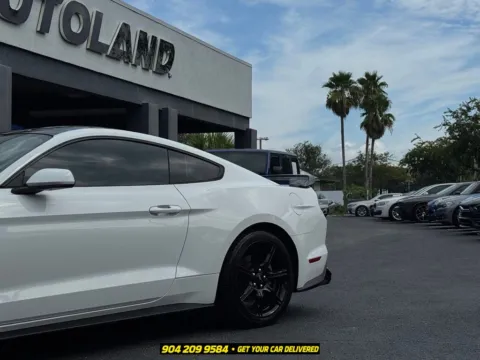 More photos of 2019 Ford Mustang GT at AUTOLAND, FL