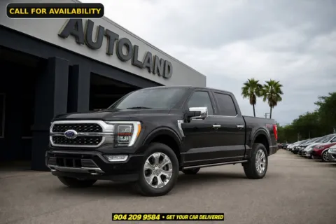 Black 2021 Ford F-150 Platinum for sale in Jacksonville, FL